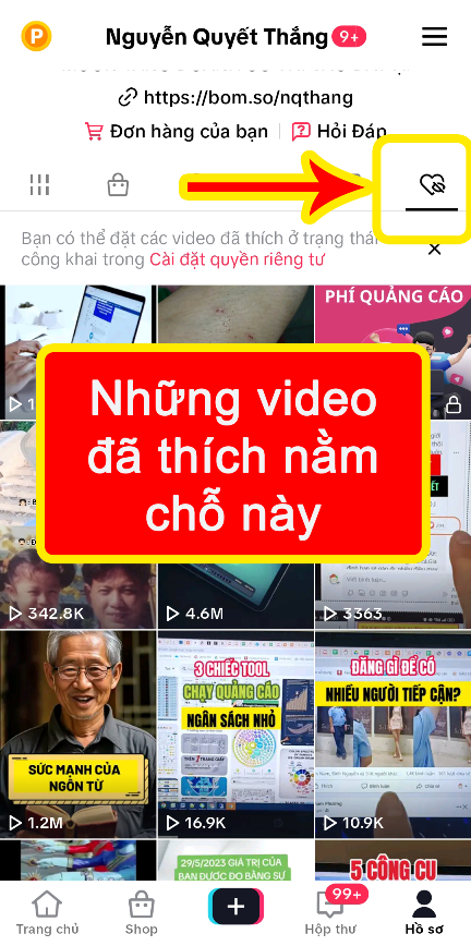 tool-reup-video-tiktok-2