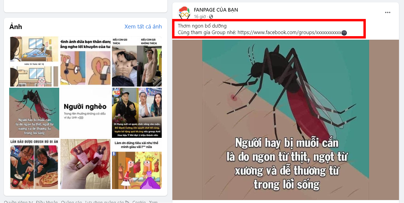 nuoi-fanpage-len-xu-huong-21
