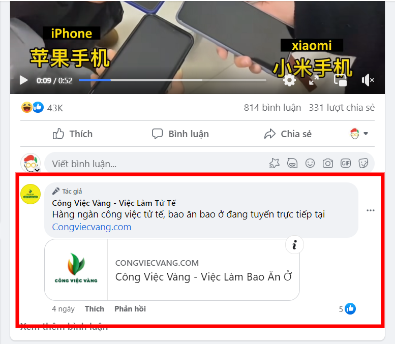 review-kingcontent-14