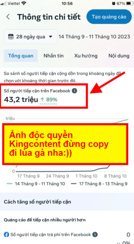 review-kingcontent